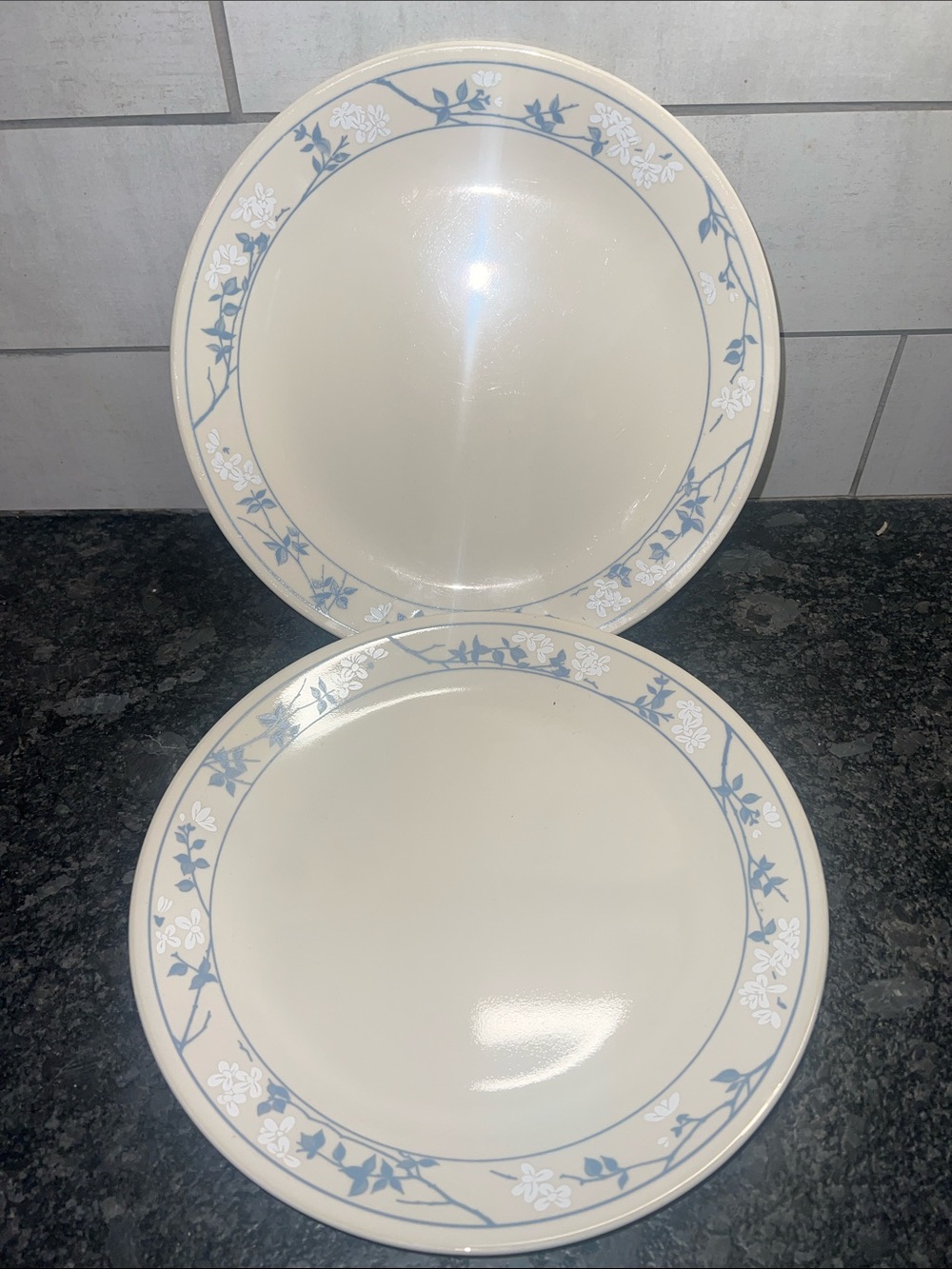 Vintage FIRST OF SPRING Corelle Floral Dinner Plates with Blue Trim - Set of 2